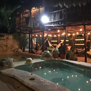 Lobo Tulum